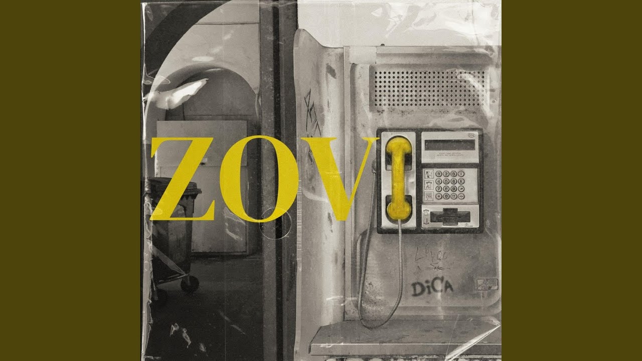 Zovi
