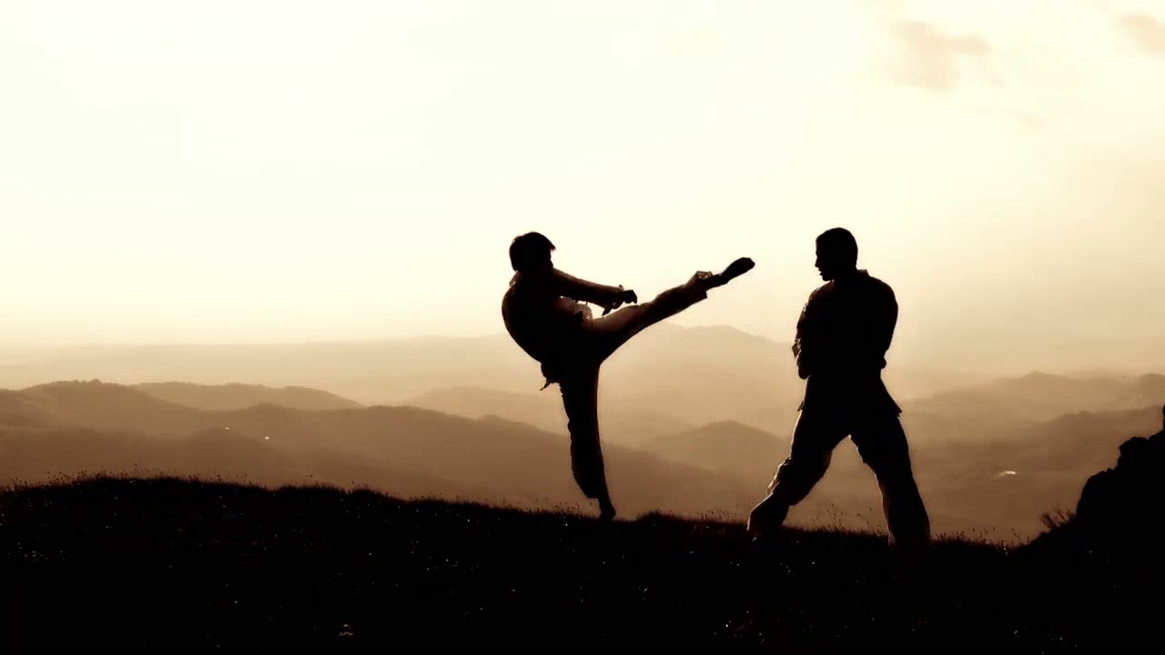 Martial Arts - Karate - Kickboxing - Flowery Branch - Braselton - Hamilton Mill