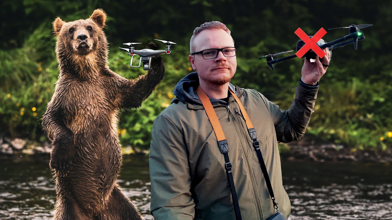 Filming Wildlife with a DRONE Can be DEADLY