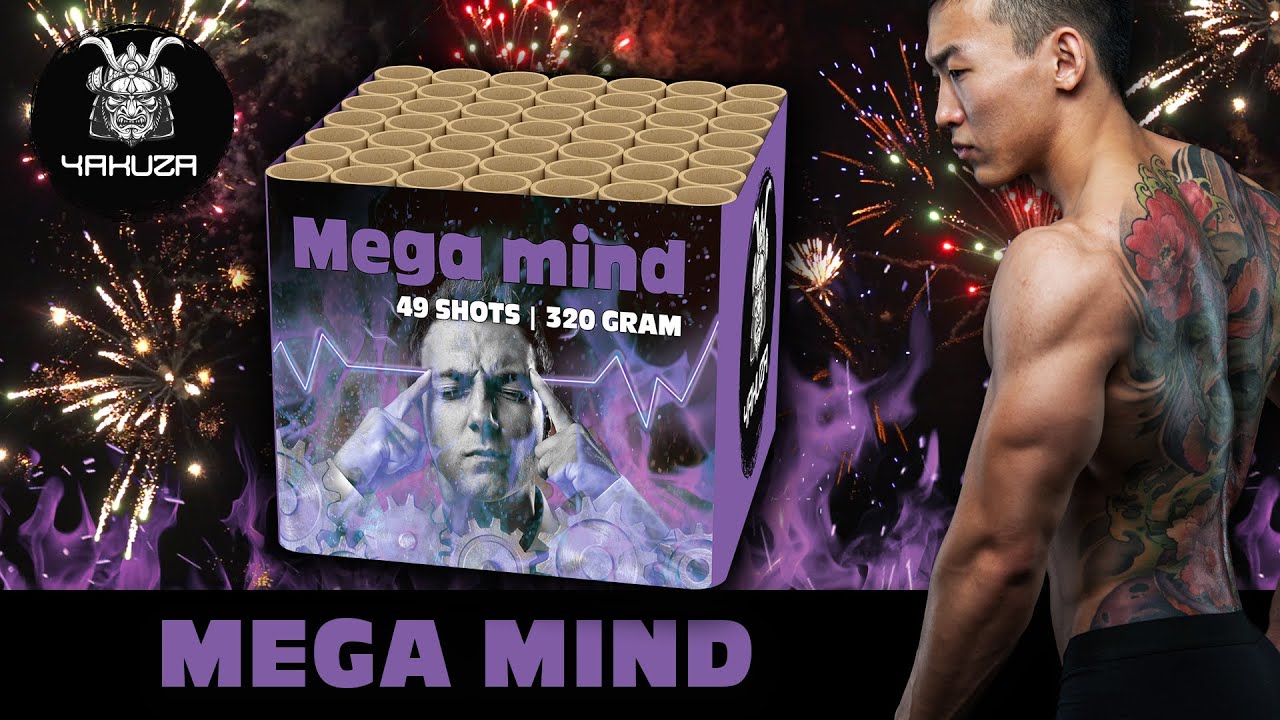 Mega mind - Yakuza - Lesli Vuurwerk