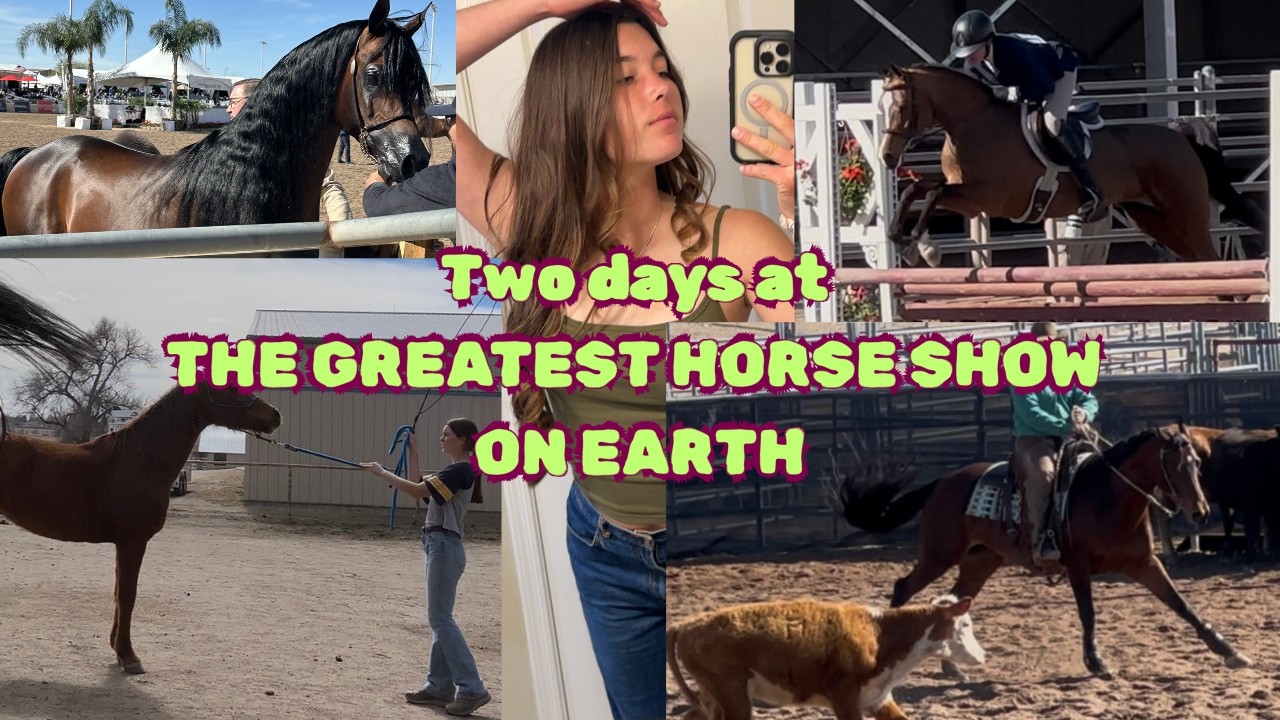 THE GREATEST HORSE SHOW ON EARTH | Two days in scottsdale