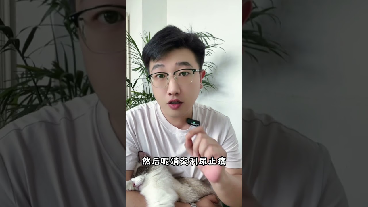 猫咪尿闭你花了多少？发在评论区大家比一下。How much did it cost you to stop your cat from urinating?