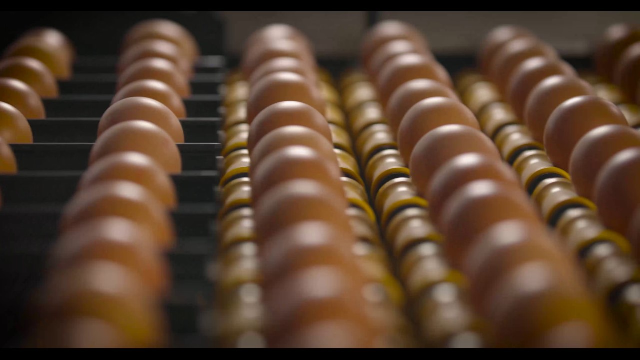 Poringer Landei - Imagefilm