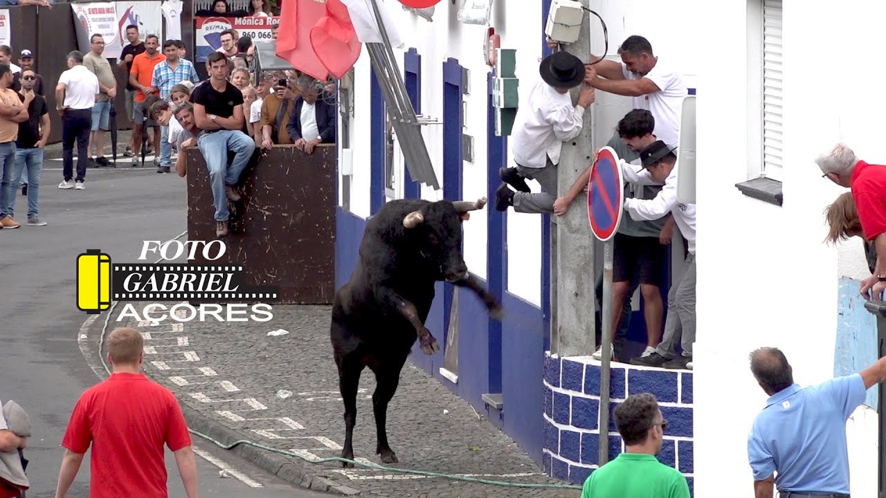 Tourada à Corda -Vila Nova 05-09-2025 Ganadeiro R.B.