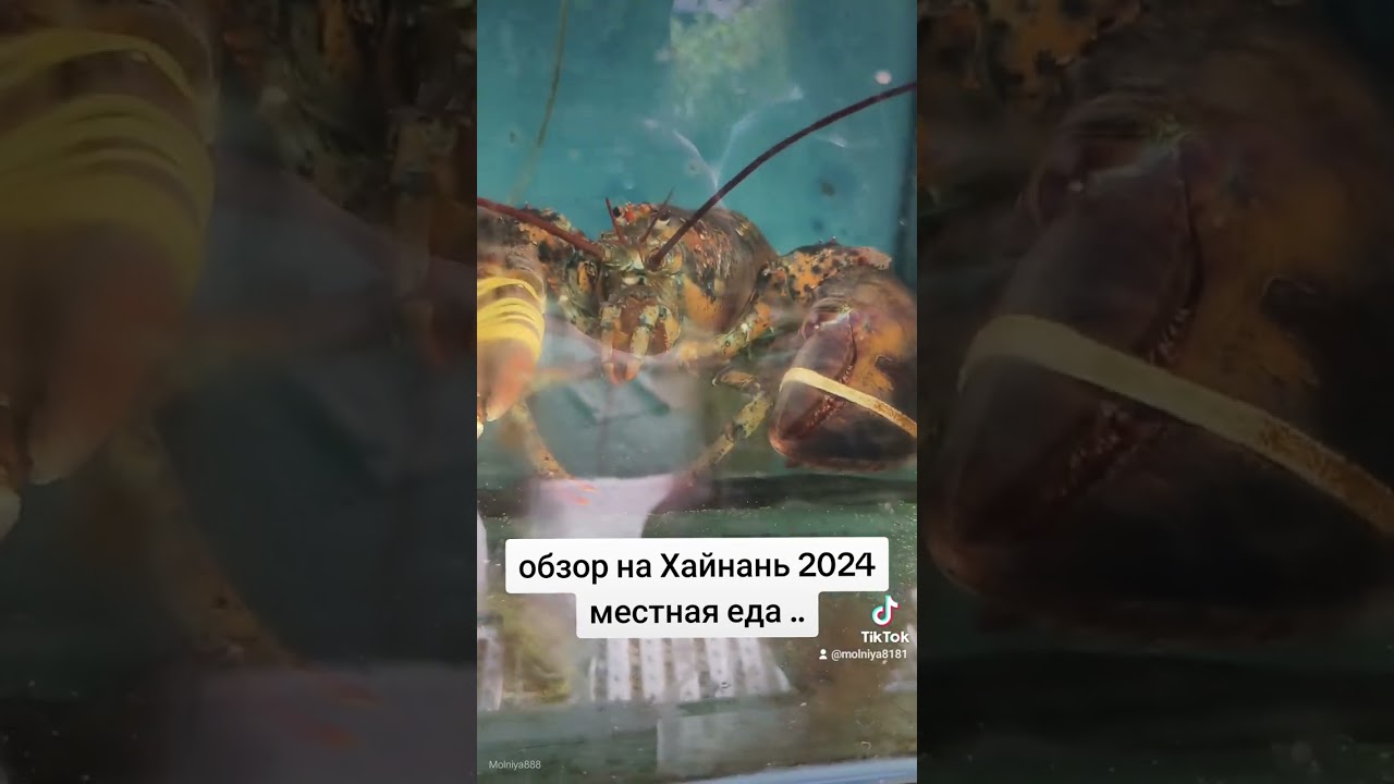 1 марта 2026 г.