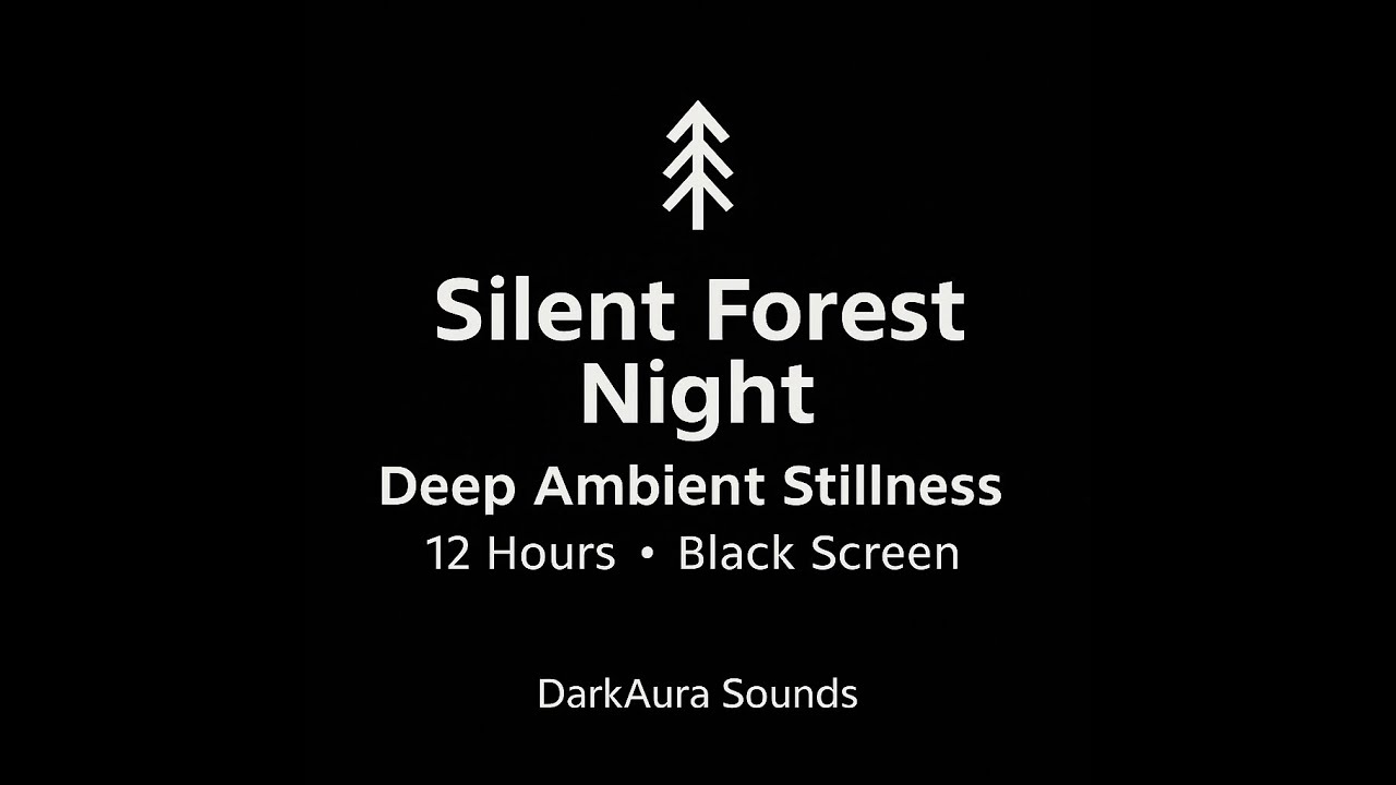 Silent Forest Night – Deep Ambient Stillness (12 Hours • Black Screen)