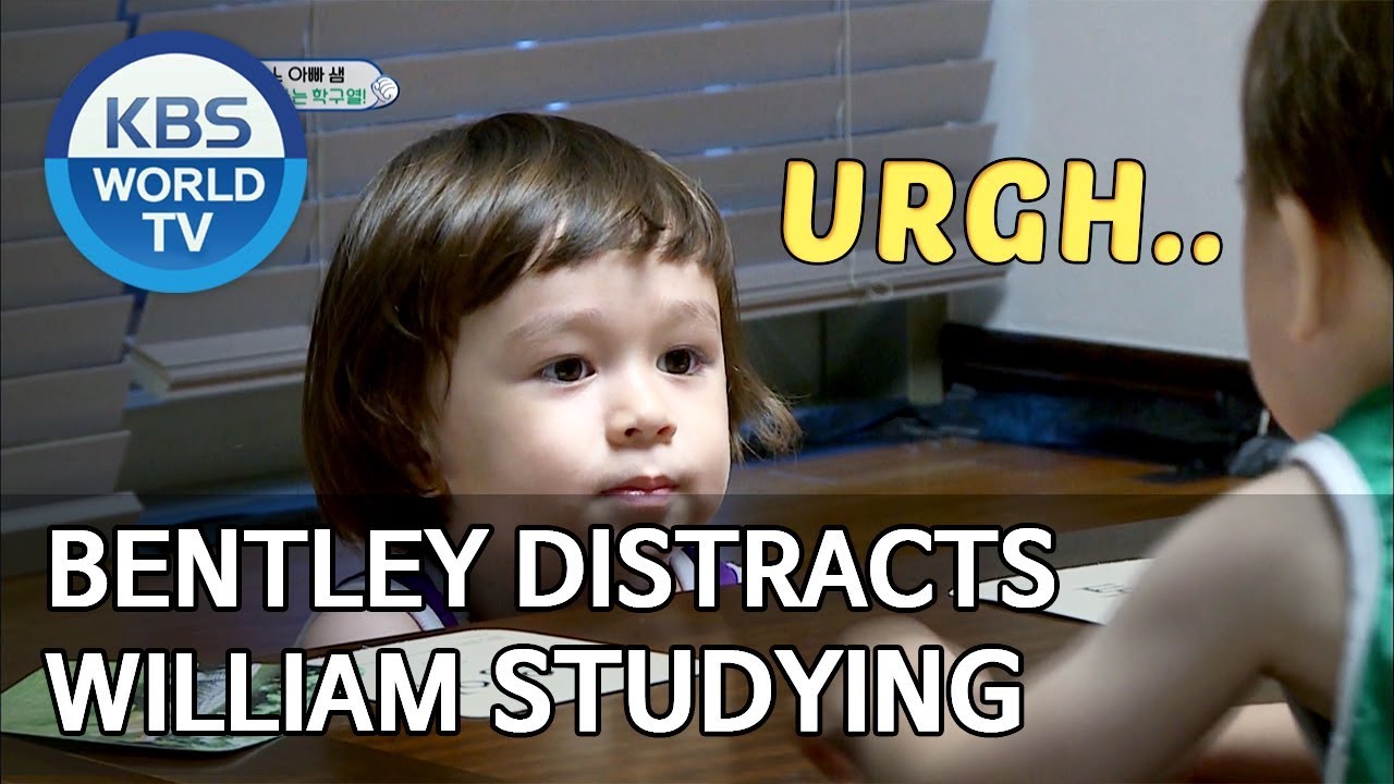 Bentley distracts William studying [The Return of Superman/2019.09.01]
