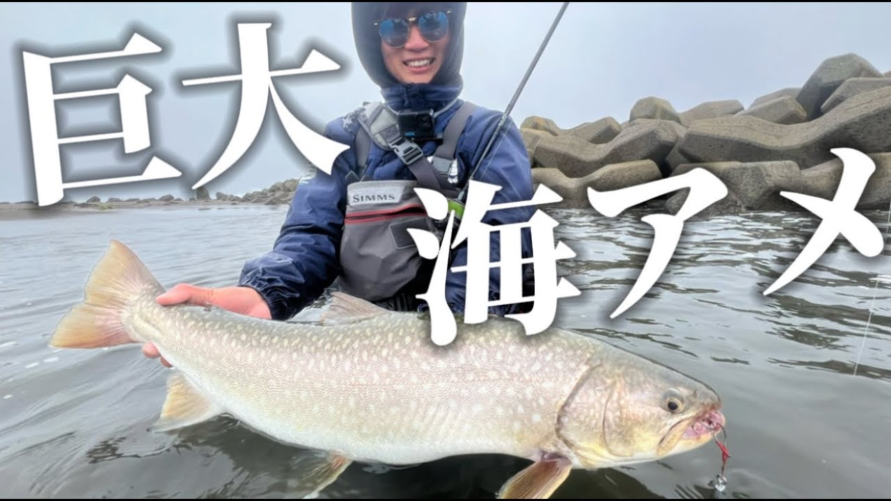 【想定外の大物】北海道の海はロマンしかない。【海アメマス】