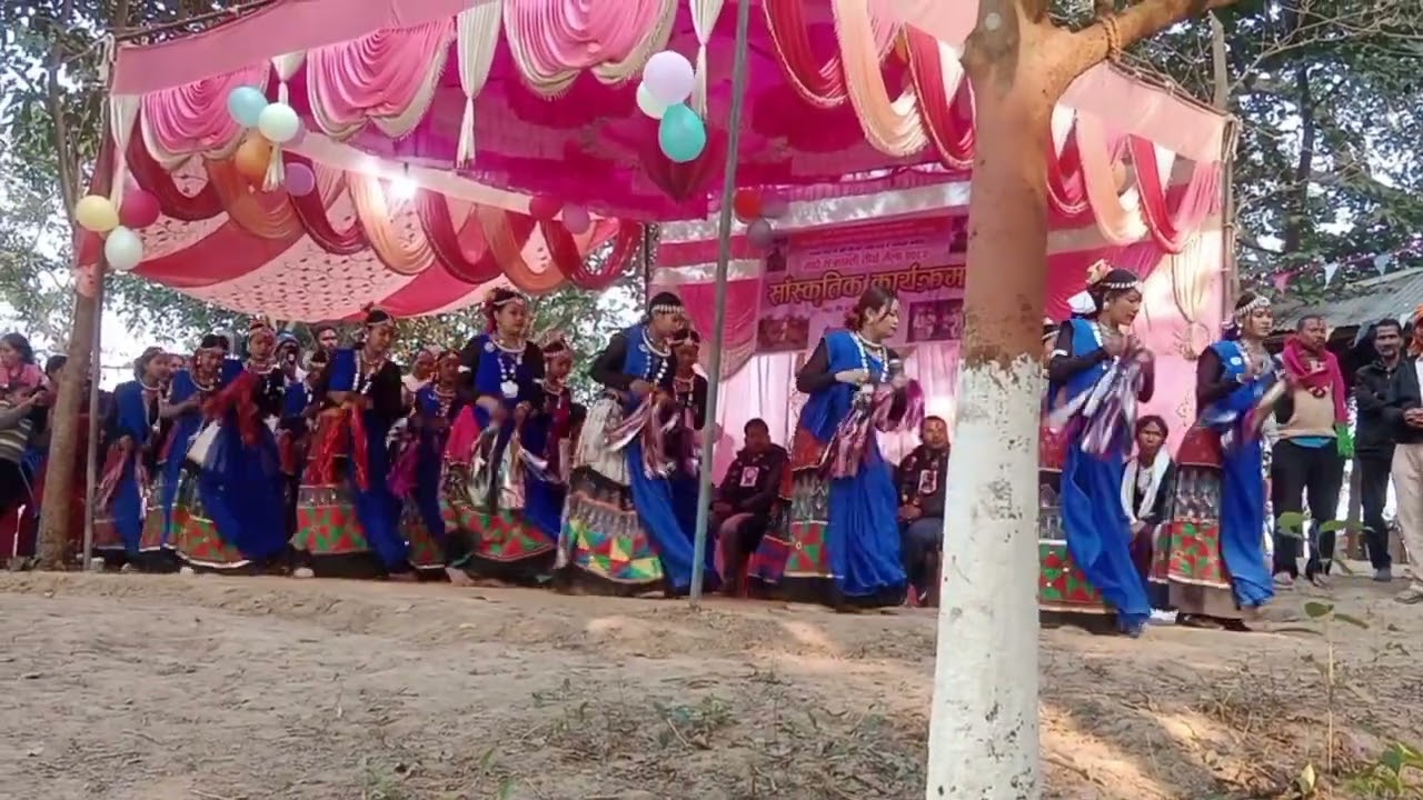 थारु समुदायको सखिया नाच#dance #highlights #nepal #masuriya #kailashpur @SARUKUSHMI 