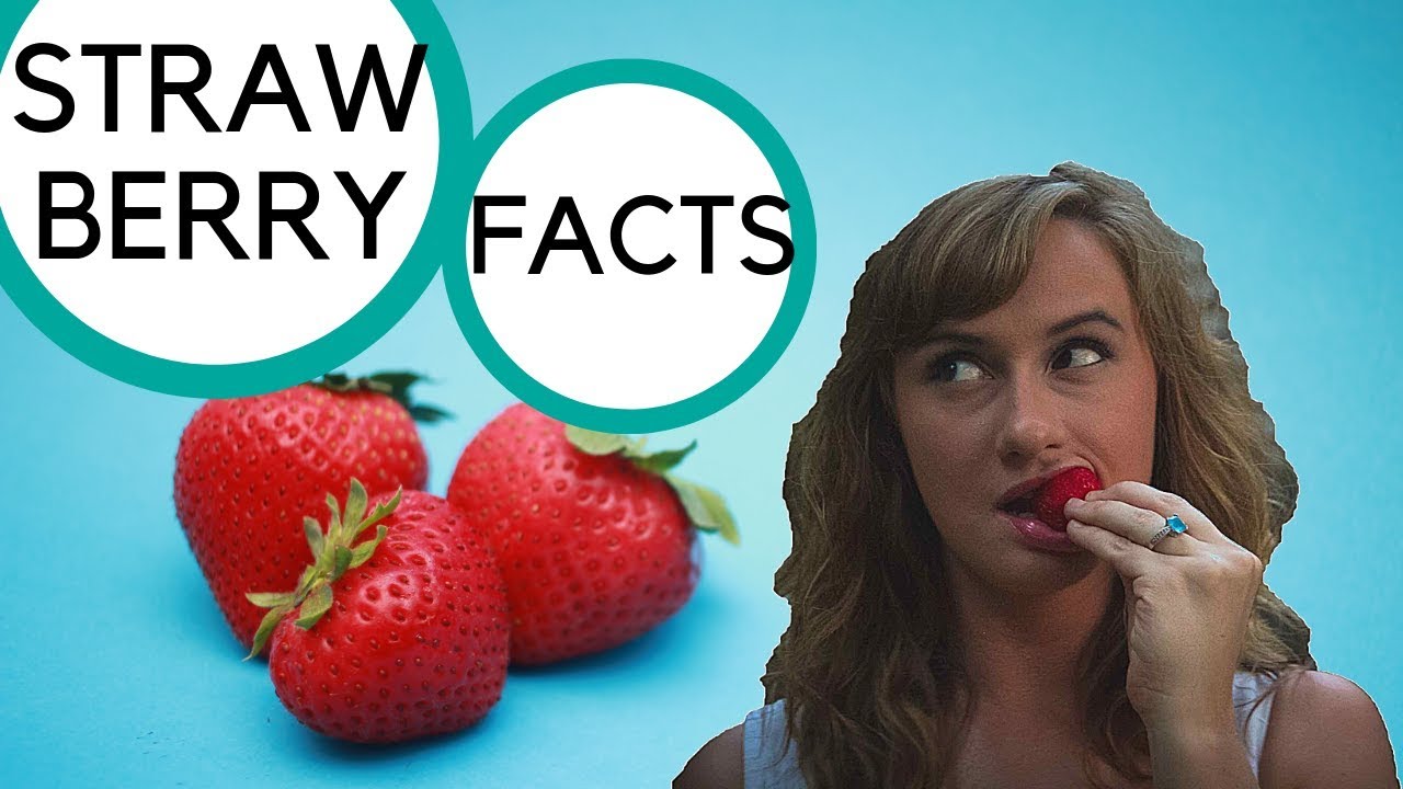 Fun Strawberry Facts!