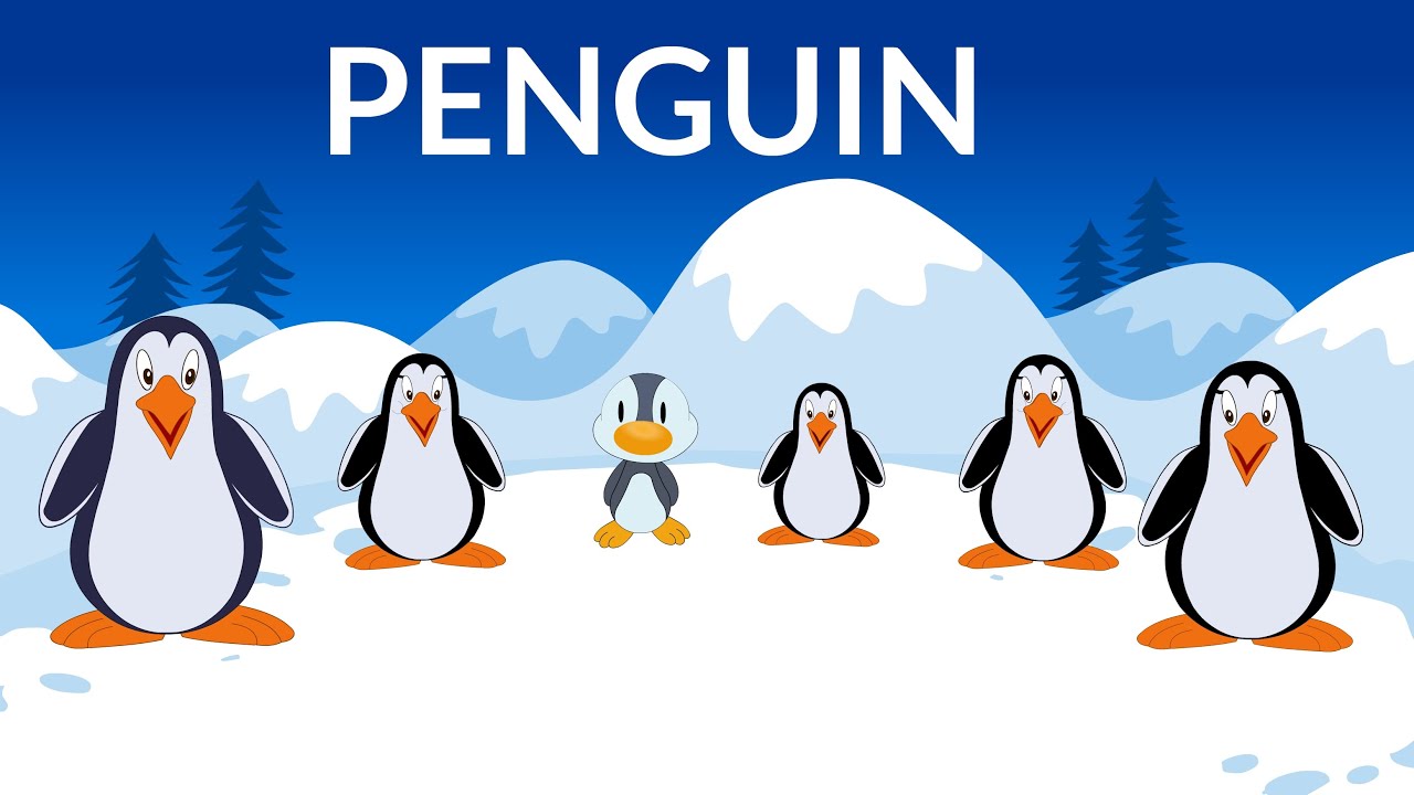 Learn about Penguins  | Penguin Information | Video for Kids