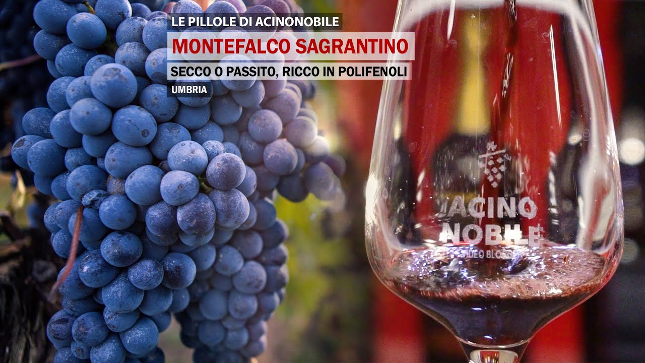 Montefalco Sagrantino | Il vino fruttato Secco o Passito | Umbria