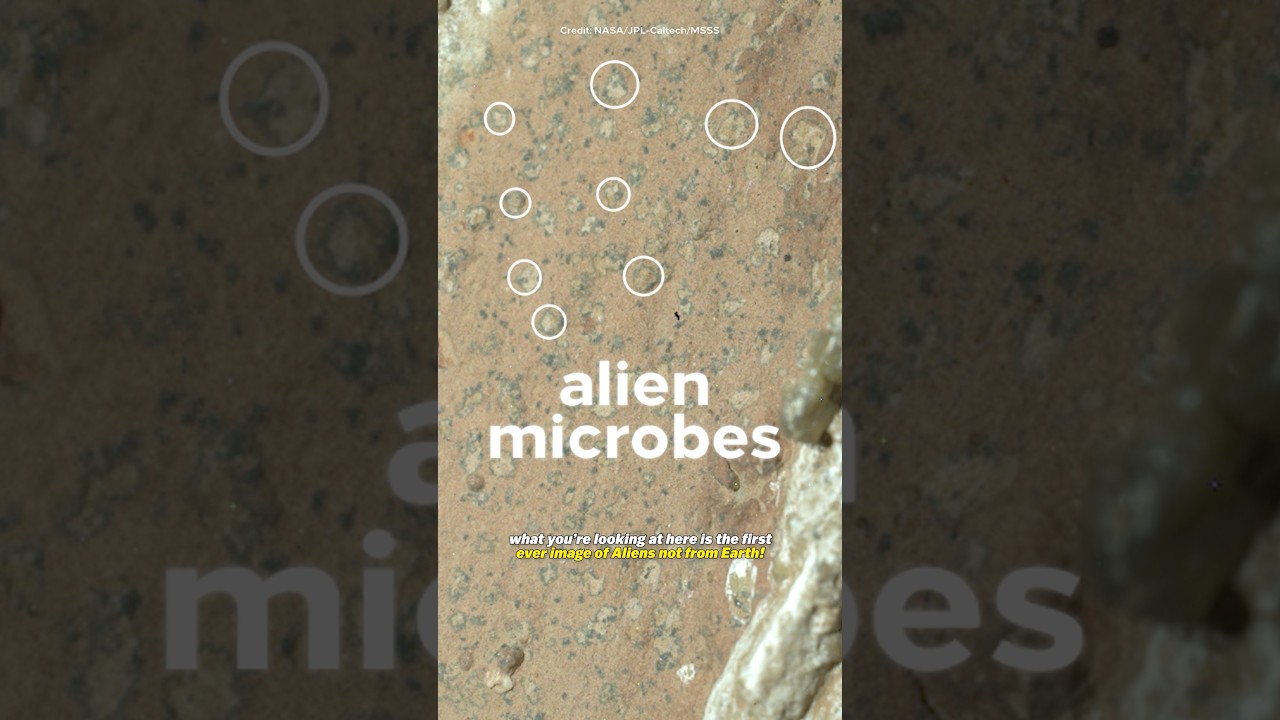 NASA may have just found life on Mars (not clickbait)