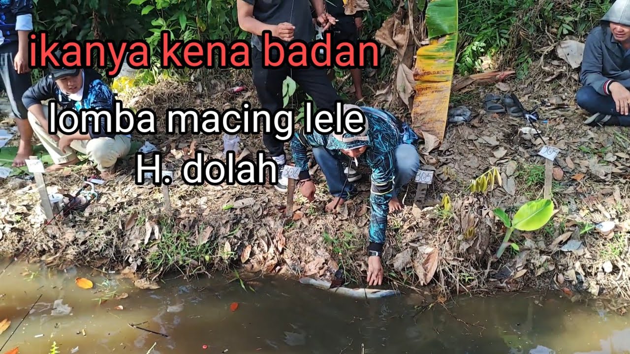 Lomba mancing lele. Di  H dolah