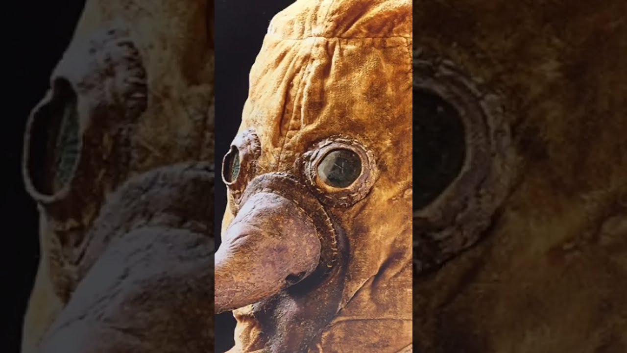 Why Doctors Used To Wear this CREEPY MASK 👺💀#blackplague #plague #nosemask #plaguedoctor