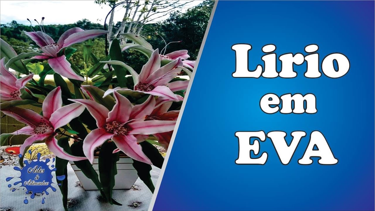 Lírio em Eva sem frisador