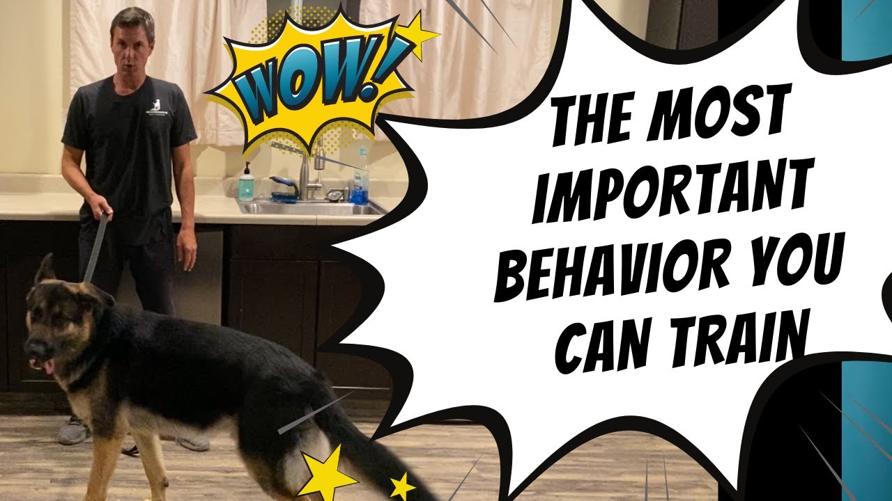 Watch me break down a behavior that can change your life.