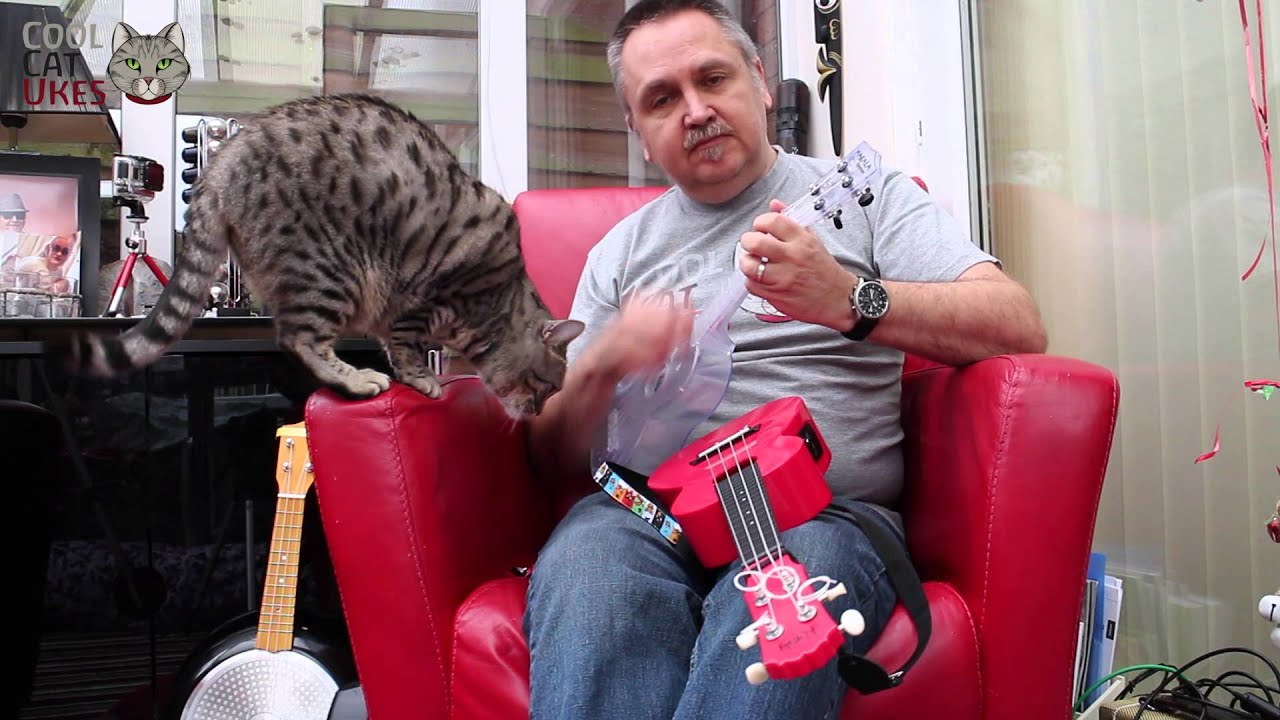 Makala Waterman Ukulele Review