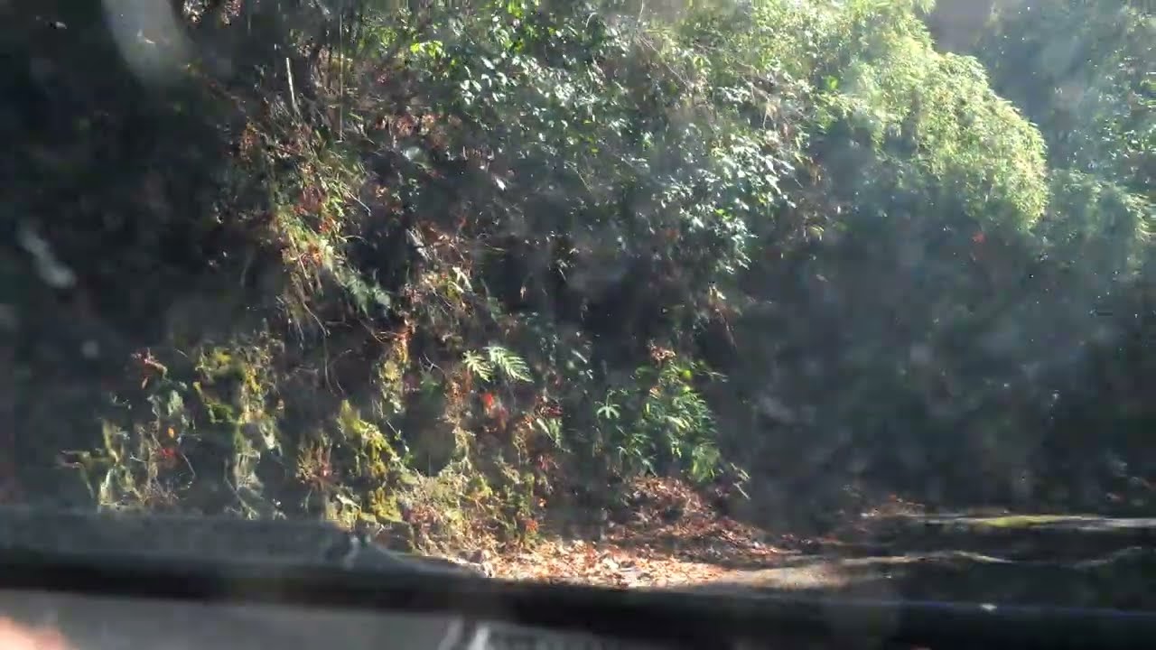 【4K60P】峰の薬師の道（2026年3月4日）