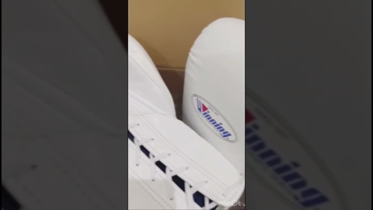 Winning Boxing Gloves 