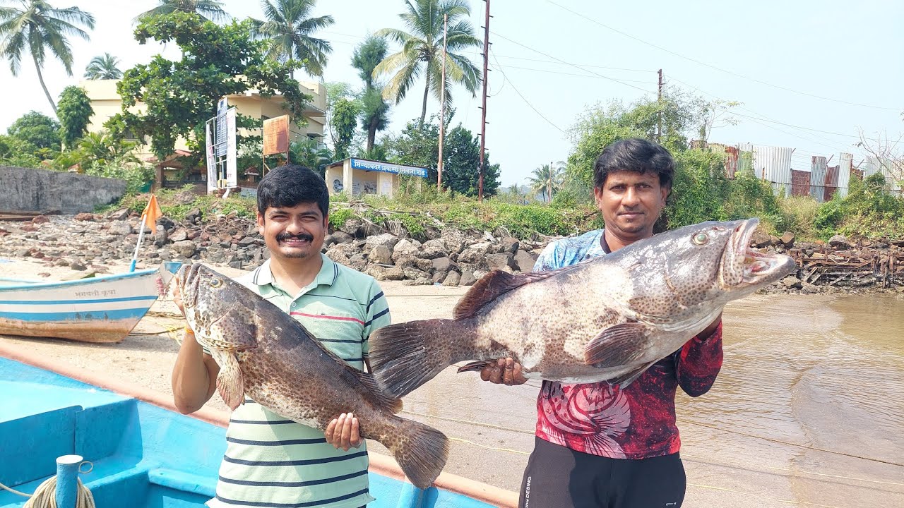 होडी मधून पकडले खुप सारे 🎣🐟गोबरे मासे #fishing #konkanfishing #fishingvideo