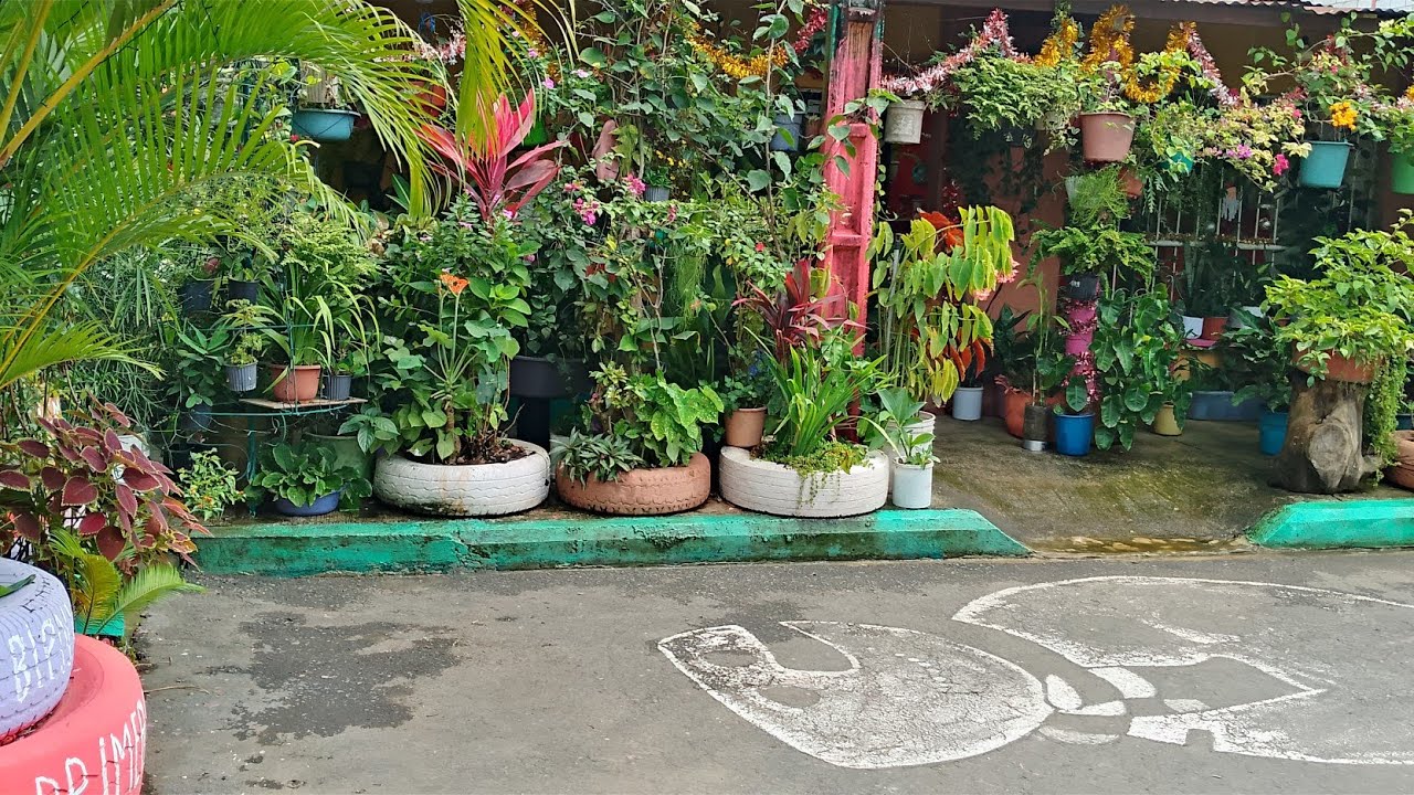 Limpieza profunda en mi jardín #2025 #plantasregaladas