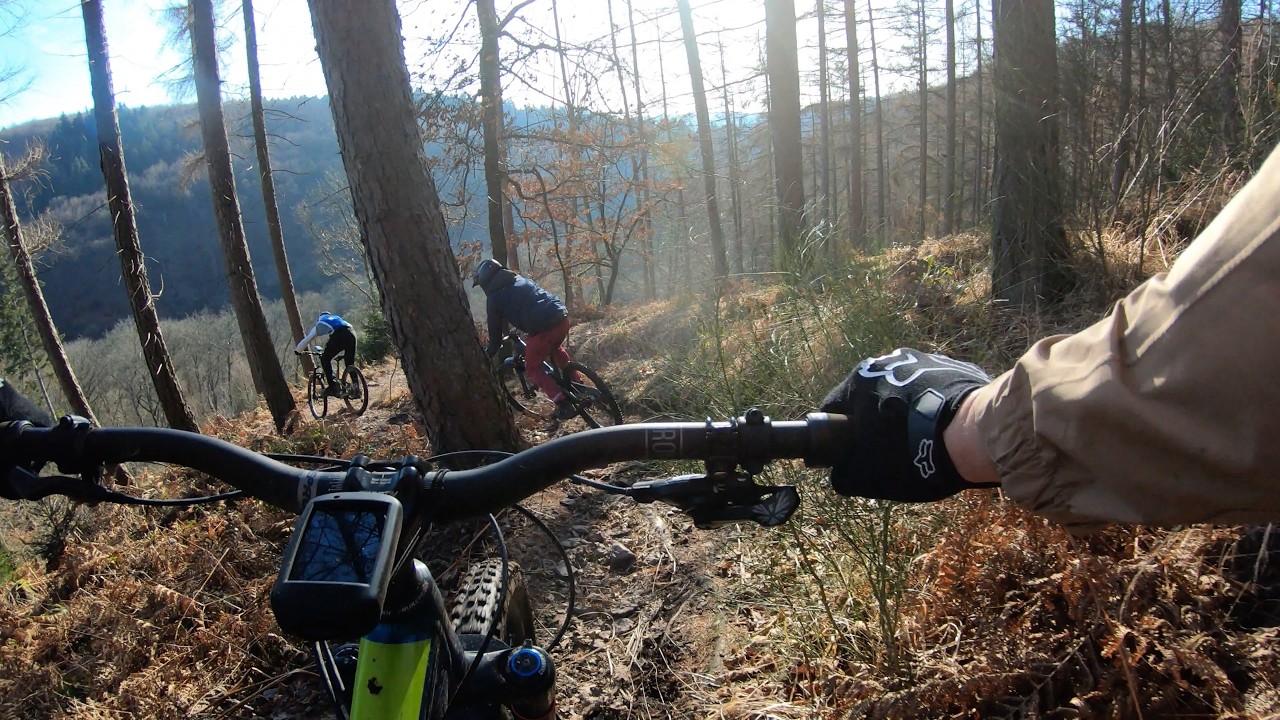 Meeting a fox on secret german trails, nu in 4k!