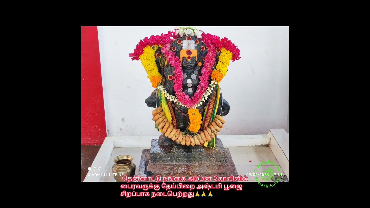 தென்னாட்டு நங்கை அம்மன் கோவிலில் பைரவருக்கு தேய்பிறை அஷ்டமி பூஜை🙏🙏🙏