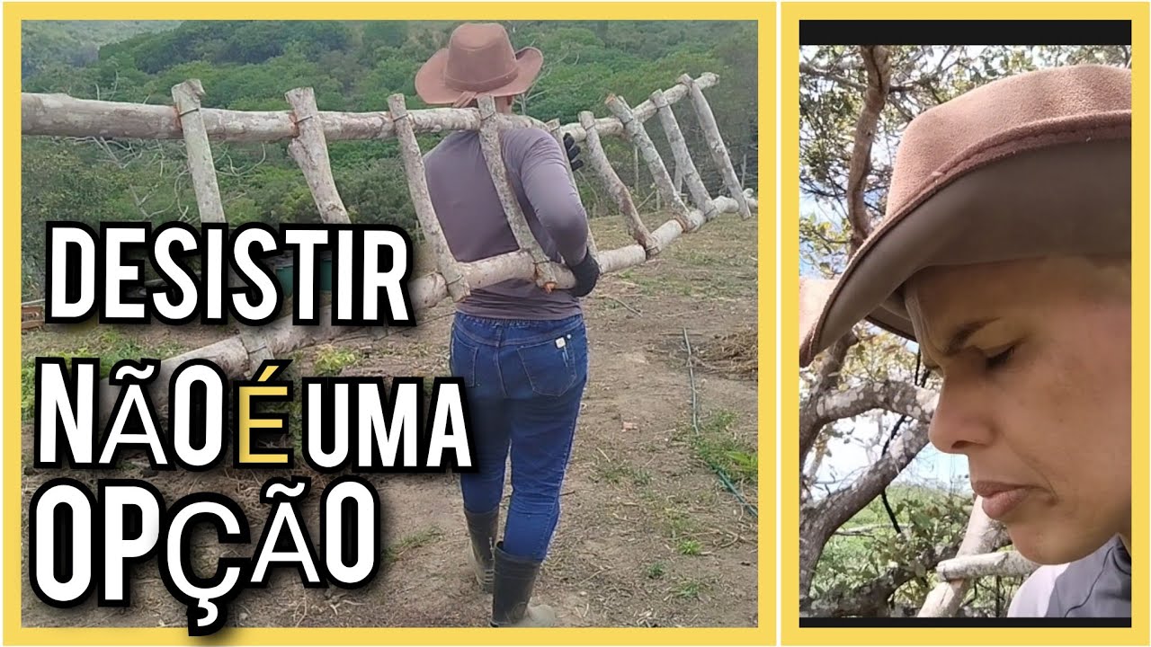 Transformei minha manhã no sítio: Escada Pronta, Plantas Cuidadas e Um Desabafo Real