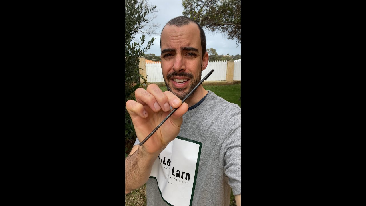Quick and Easy Way to Pull Weeds by Hand