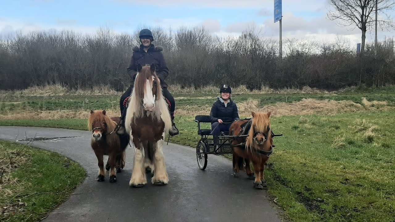 Mennen met Klein in het bos!💗
