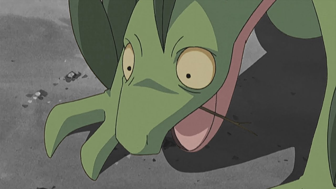 Grovyle and Dusknoir Must Prove They're Not Gay