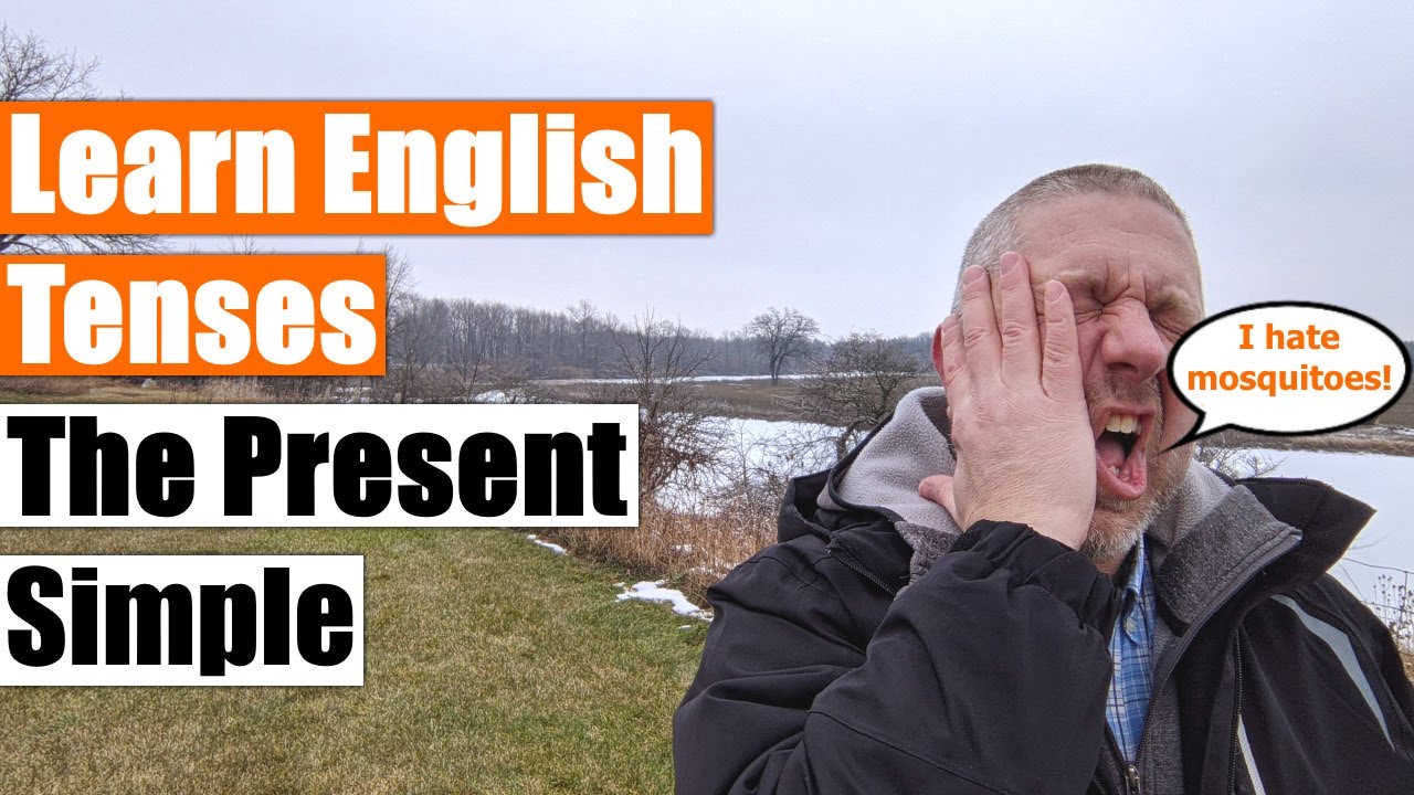 Learn English Tenses: The Present Simple