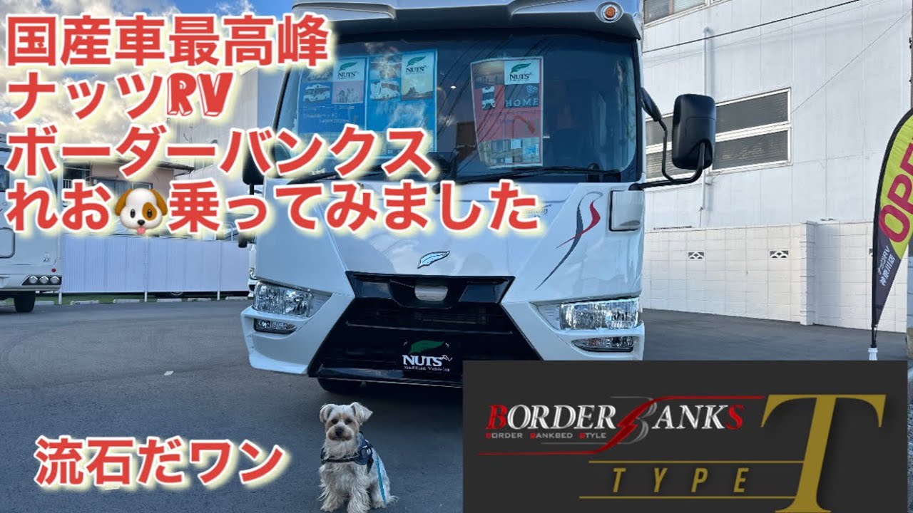 【NUTS RV】幕張メッセキャンピングカーショーでも注目❗️ボーダーバンクスにれお🐶乗っちゃいました。