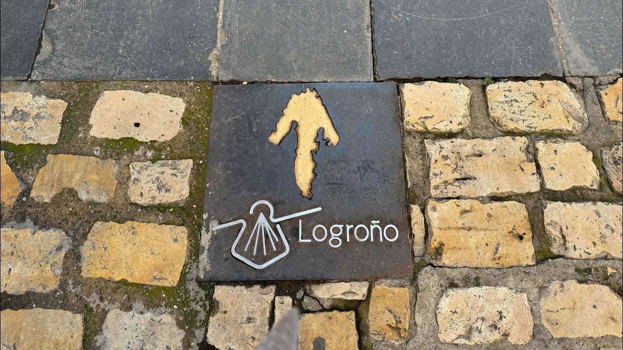 Day 8 - Camino Frances - Sansol to Logrono 22km