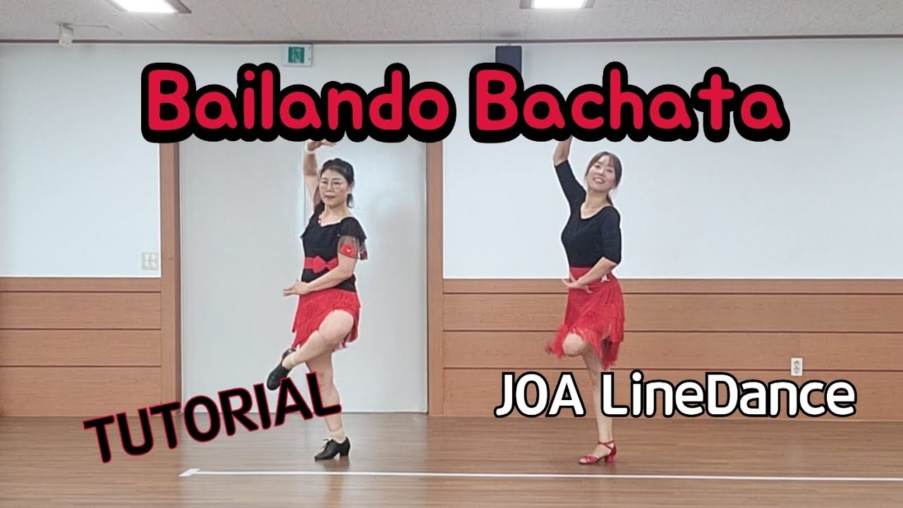 Bailando Bachata LineDance(Tutorial)(Beginner) #평택조아라인댄스설명