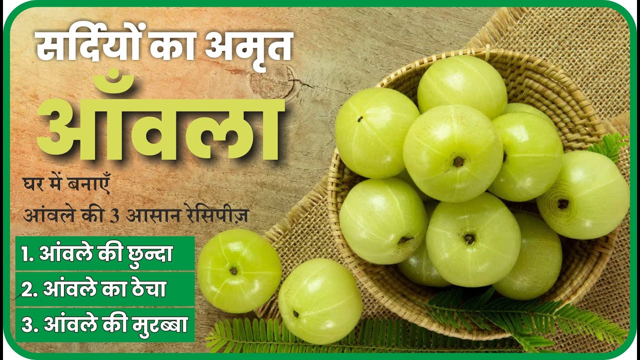 इन सर्दियों में बनाएं आंवले की 3 आसान रेसिपीज़ Try these 3 easy amla recipes this winter. #amla #food