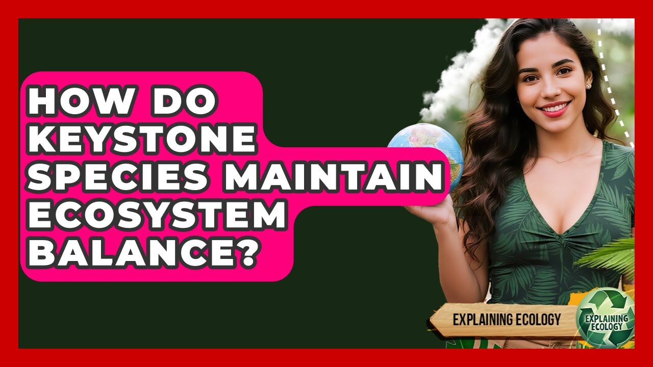 How Do Keystone Species Maintain Ecosystem Balance? - Explaining Ecology