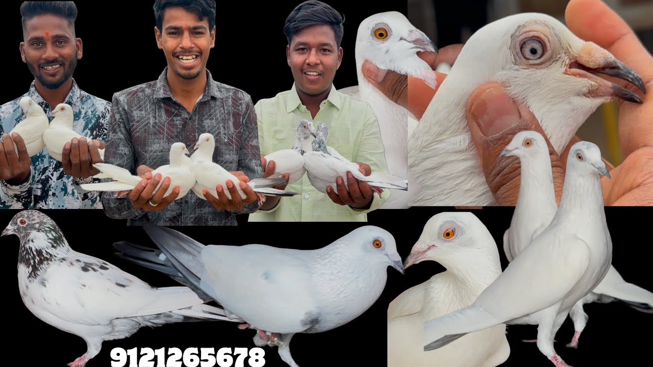 Omkar bhai and his friends from Solapur has visited my loft in Guntur | Andhra Pradesh