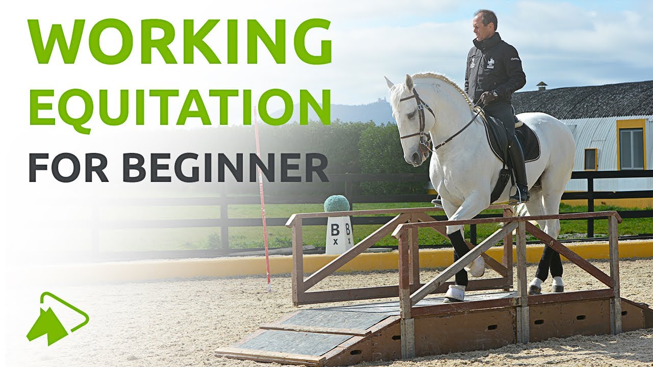 An Introduction to Working Equitation by Pedro Torres | wehorse