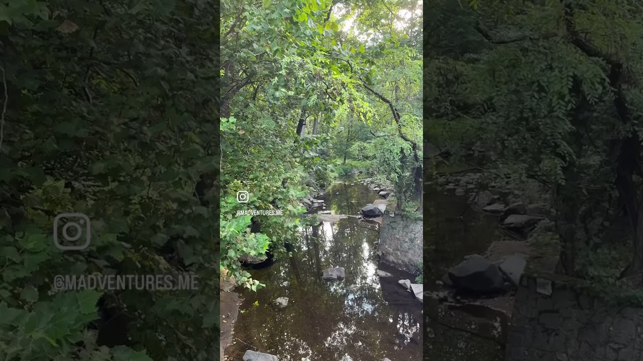 #dmv #walking #walkingtrails #arlingtonvirginia #arlingtonva #trails