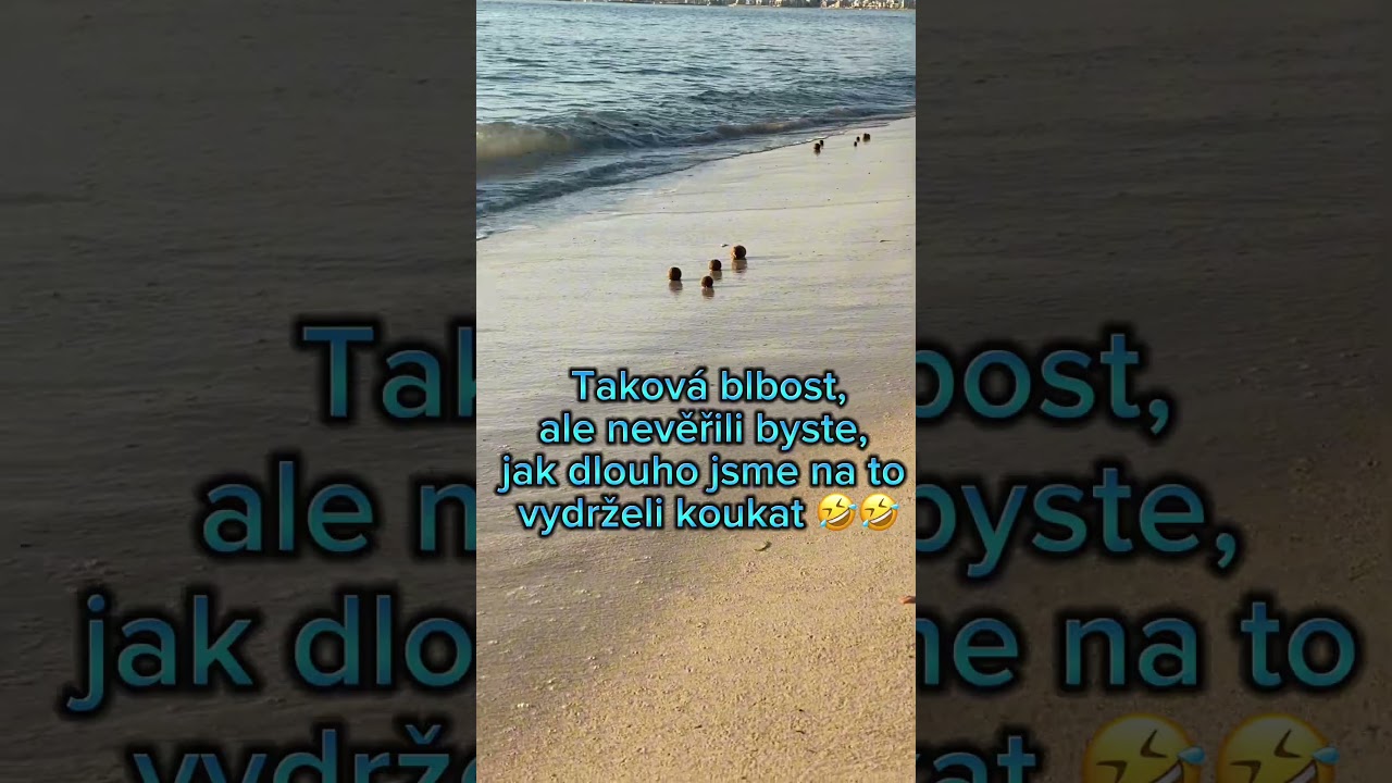 Sooo funny and relaxing! 🤣🤣😍 #keepcalmandplay #relax #fun #wtf  #funnyshorts #barbieslifeofficial