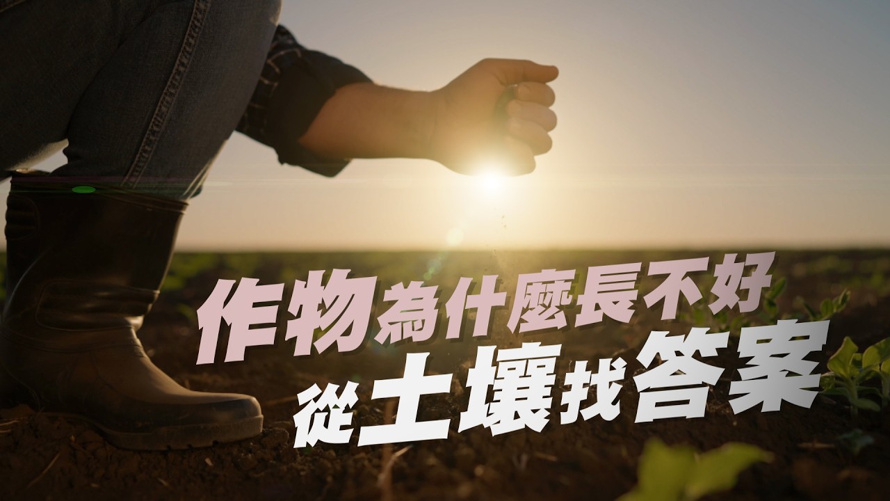 【大愛全紀實】 找回土壤生命力｜從土開始｜吃土不如養土 20260314