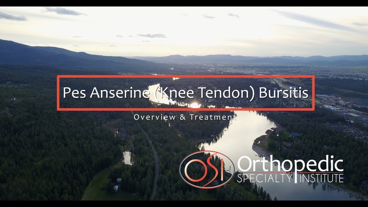 Pes Anserine (Knee Tendon) Bursitis