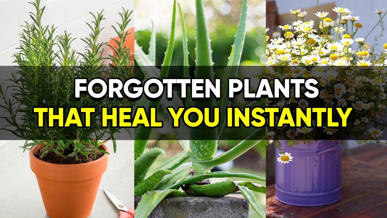 Grow Your Own Healing Garden 🌱 | 10 Useful Plants for Home!
