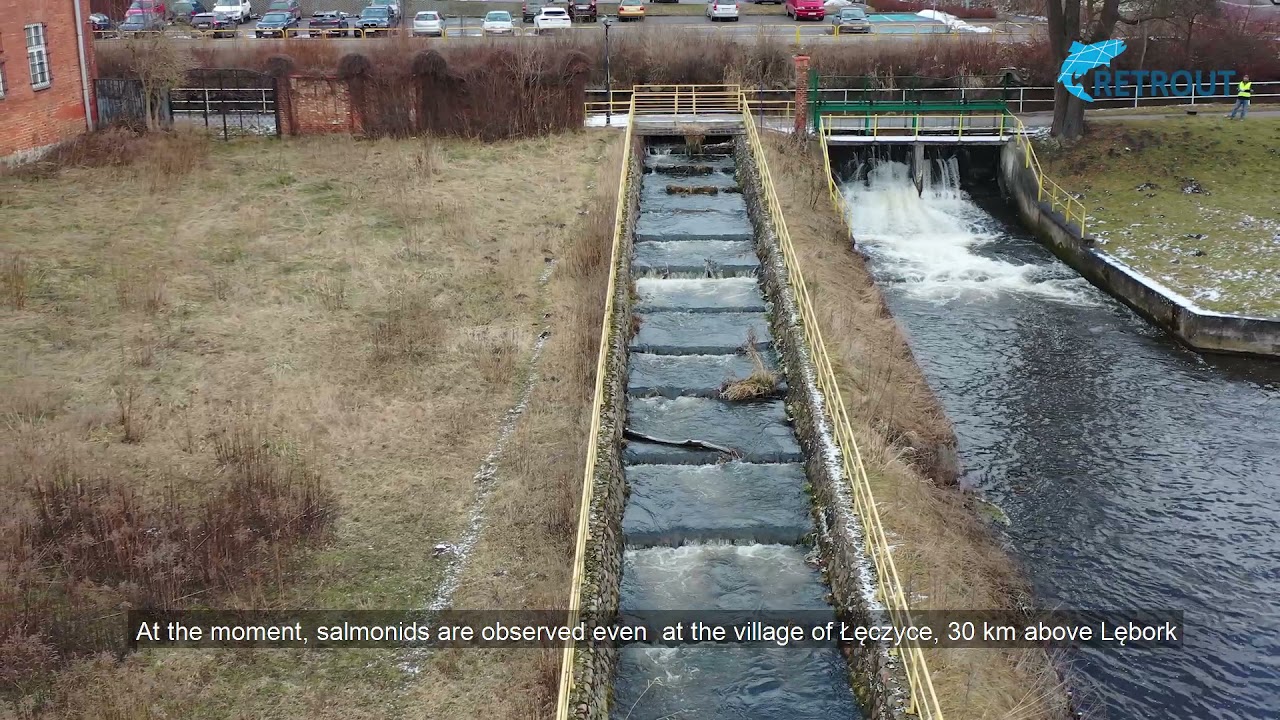 Lębork, fish pass on the Łeba River