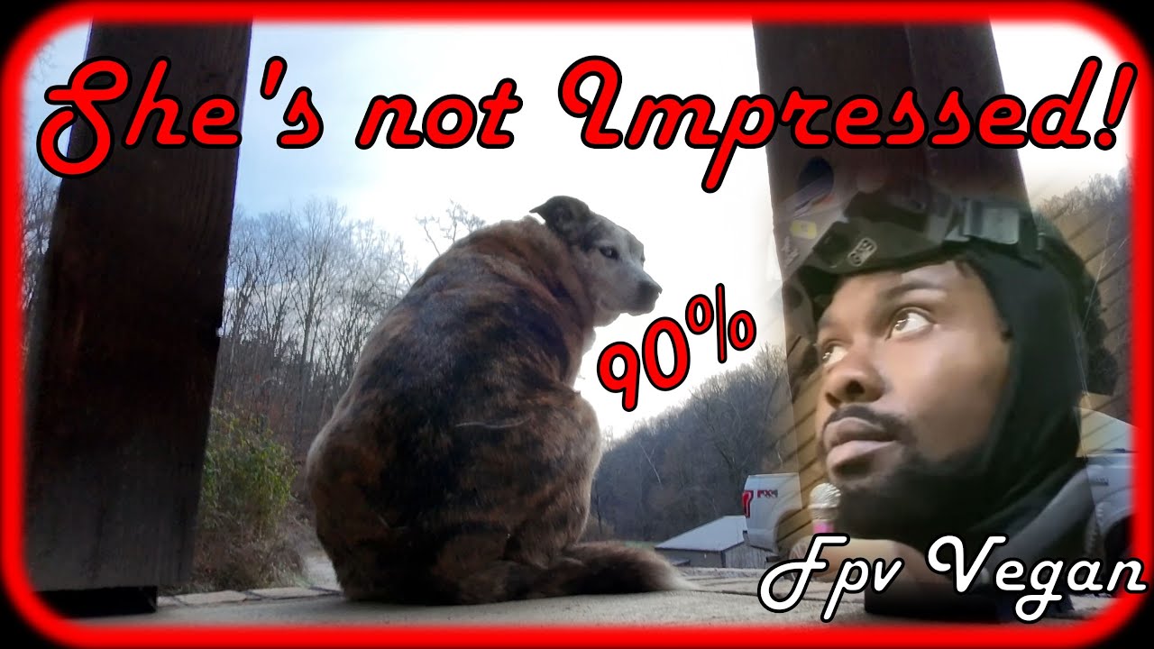 She's not Impressed / RED BIRD & FPV Vegan