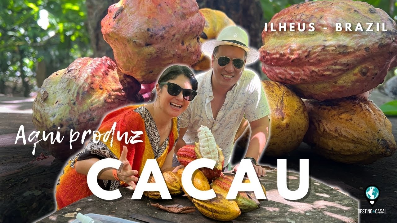 Passeio em Ilhéus Bahia - Fazenda de CACAU Yrerê
