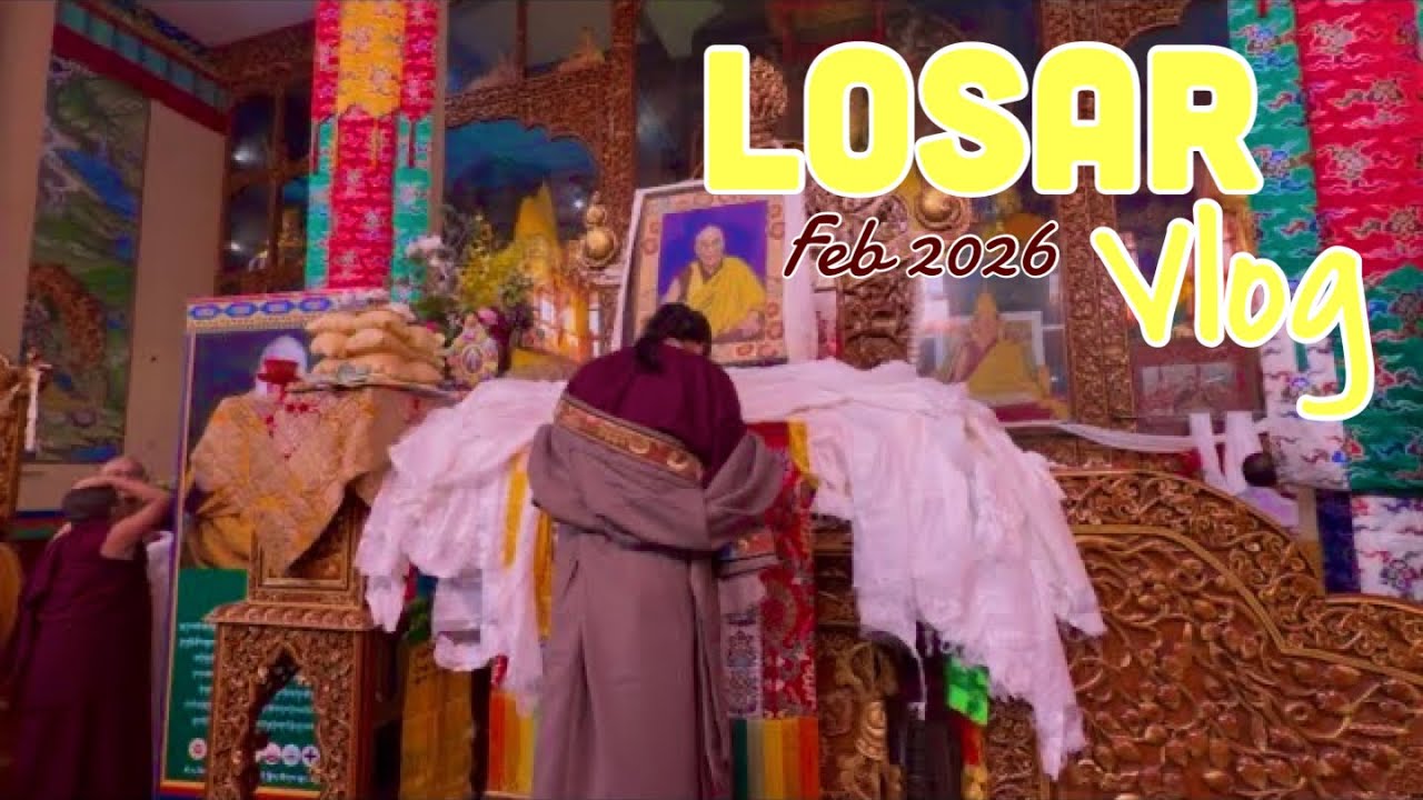 losar vlog || This snake can fly?!😳🐍|| TIBETAN VLOGGER #vlog #losar 