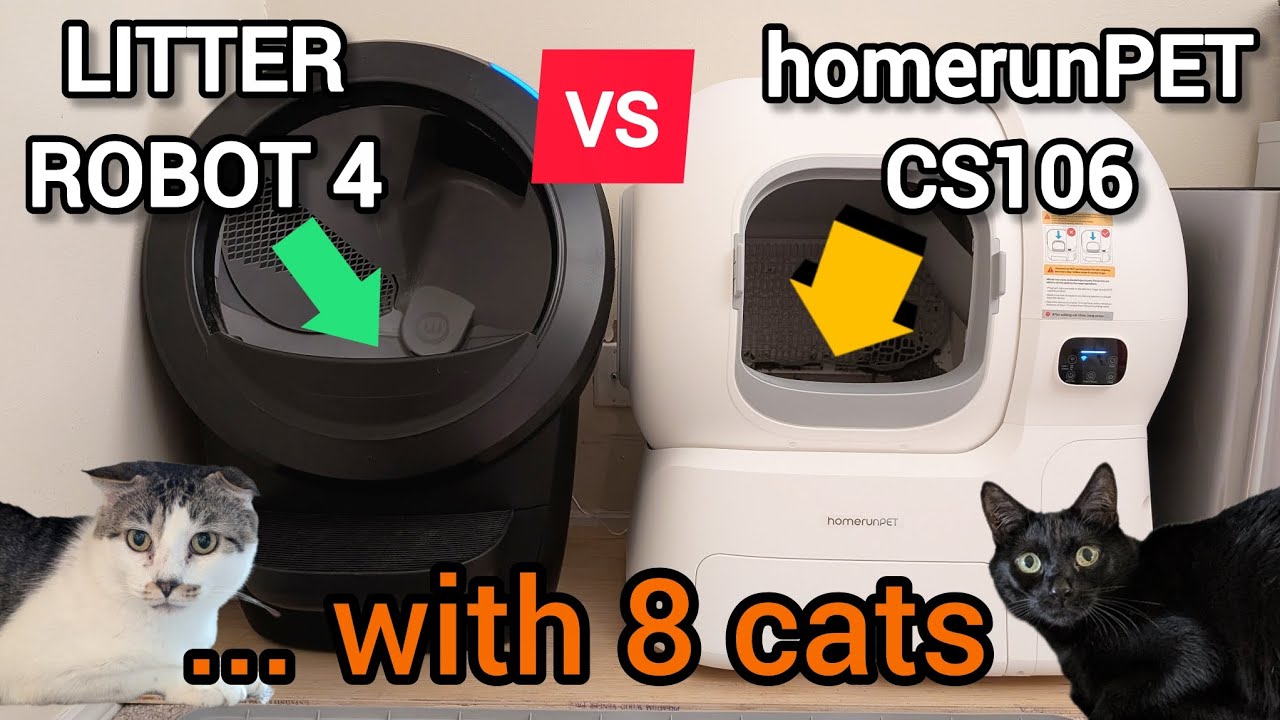 Лучший автоматический туалет для нескольких кошек? Litter Robot 4 против самоочищающегося туалета...